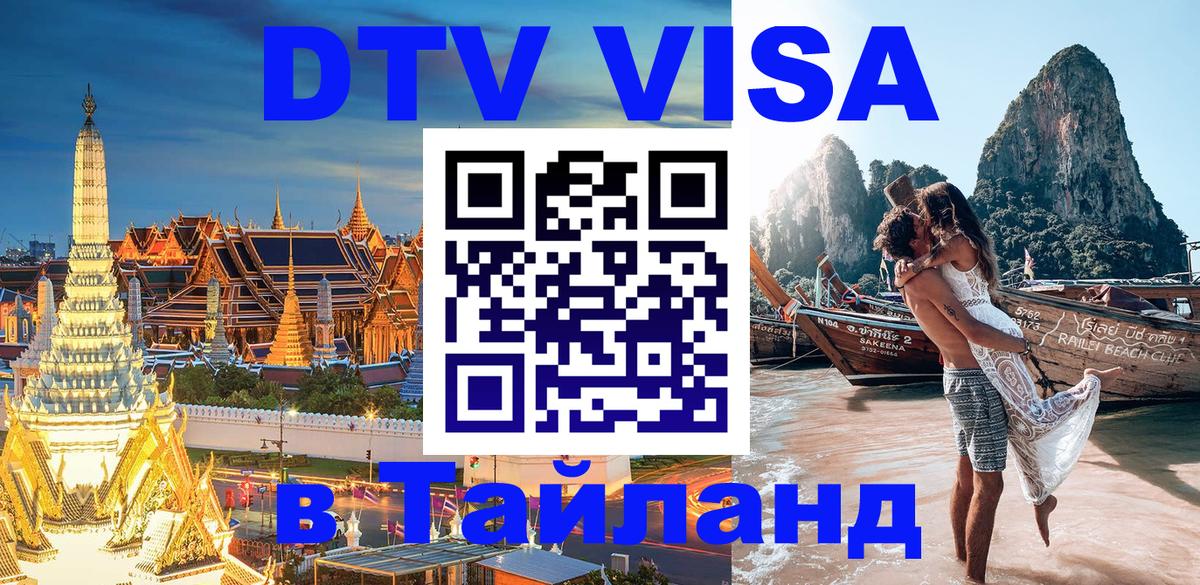 Сколько стоит DTV виза — актуальные цены, оформление даже без документов - 19.11.2025 